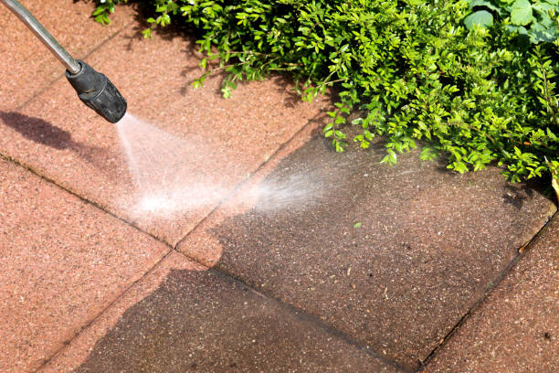 Roof Power Washing Services in Downs, IL
